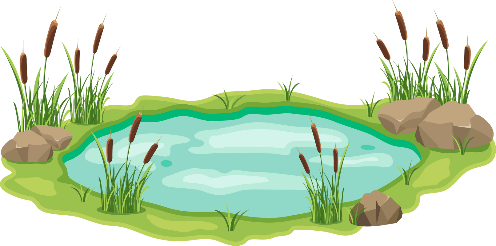Pond with Cattail and Thickets